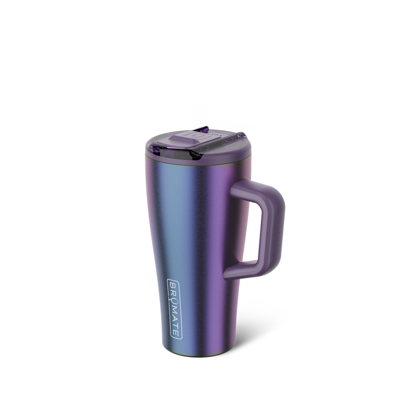 Era Flip 20oz | Dark Aura