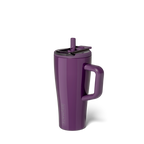 Era Flip 20oz | Plum