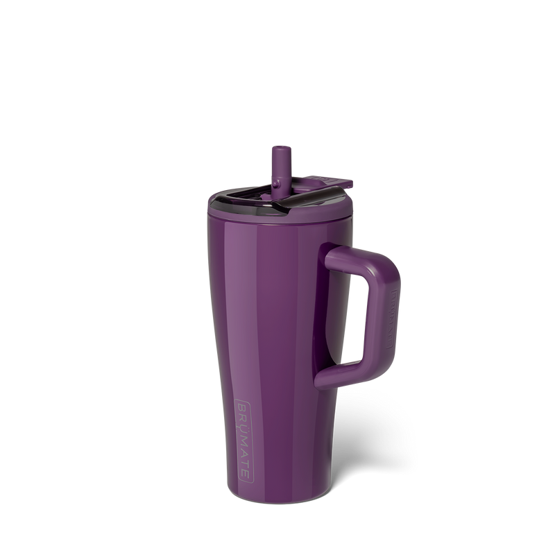 Era Flip 20oz | Plum